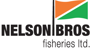 Nelson Bros Consulting Logo